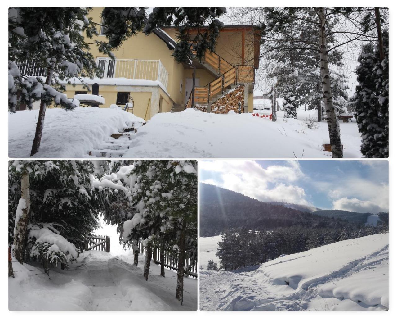 Zlatibor Apartmani Dm Tornik Exterior photo